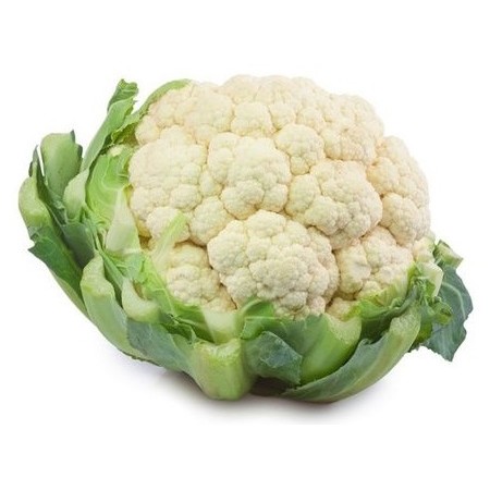 CAVOLFIORE BIANCO SFUSO FRESCO